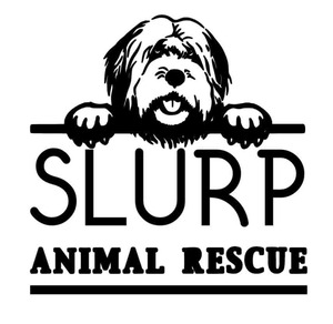 SLURP - Strays Love Us Rescue Program