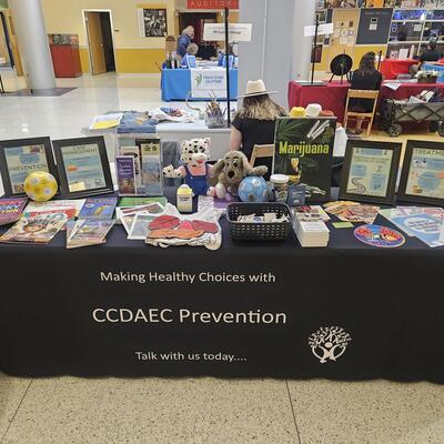Prevention Promoting Healthy Choices