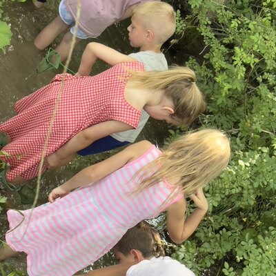 Exploring the local creek.