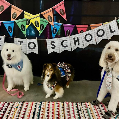 Therapy Dogs Rule in School!