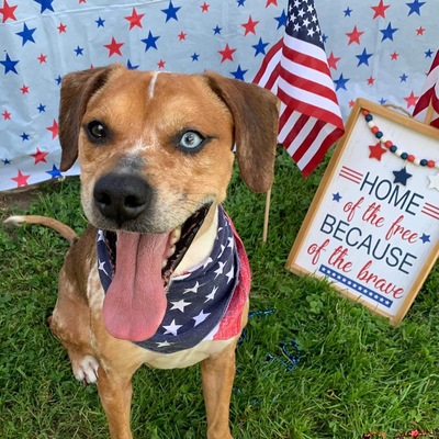 AVAILABLE FOR ADOPTION- special needs, waived adoption fee!
