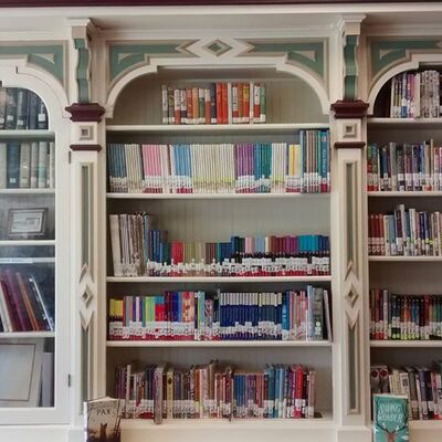Our library shelves!
