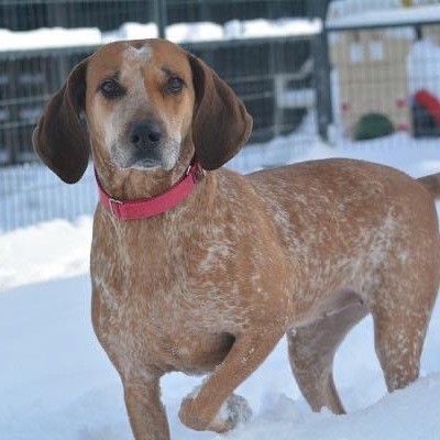 ADOPTED- completed rehabilitation