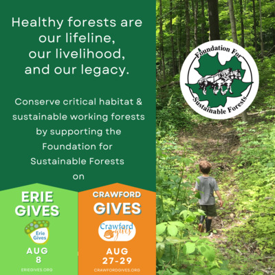 Healthy forests are our lifeline, and you can help.