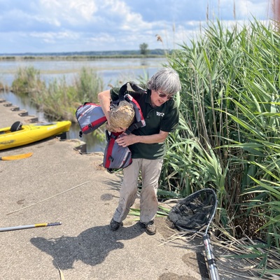 Canada Goose Rescue