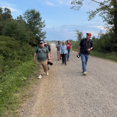 Free Guided Bird Walk along McMichael Rd