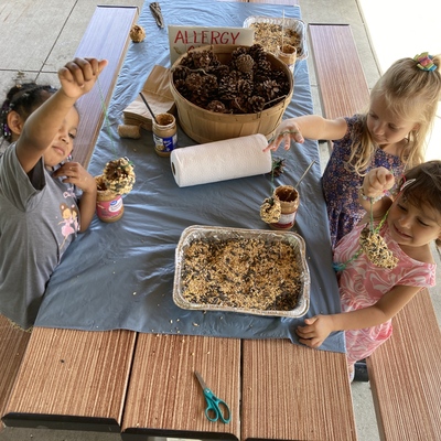 building a pine cone bird feeder