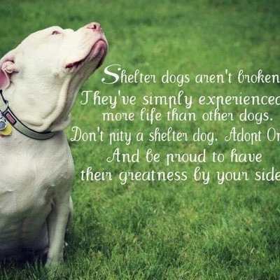 Absolute truth!