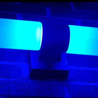 SAM-Blue Light