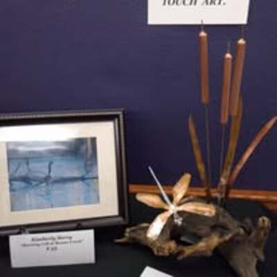 Nature Art Showcase & Sale