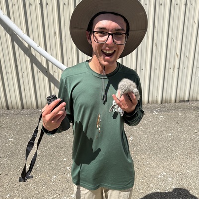 Rescuing fallen gull chicks in Erie before taking them for rehab at Tamarack Wildlife Center