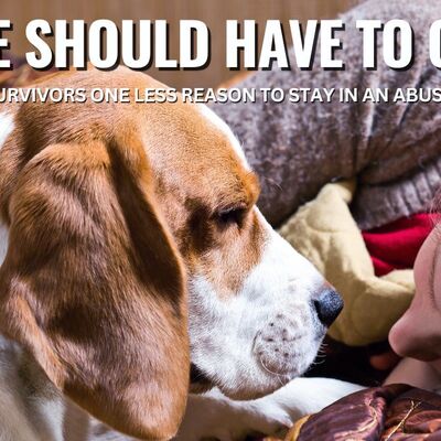 Survivors shouldn't have to choose their safety or their pet's safety.