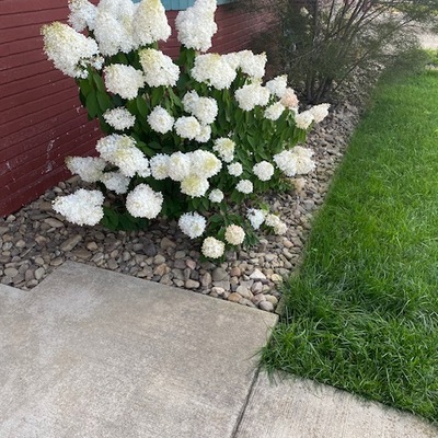 Landscaping finished with 2022 Crawford Gives donations