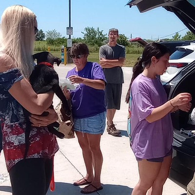 Transport arriving.   Volunteers will microchip, get records in order.