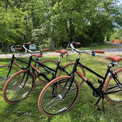 NEW Bikes - EZ Rider 3 speed - Ernst Trail