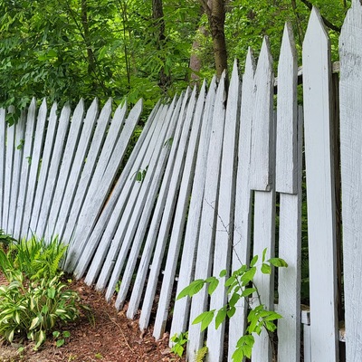 This is a few of our fences that need to be replaced.