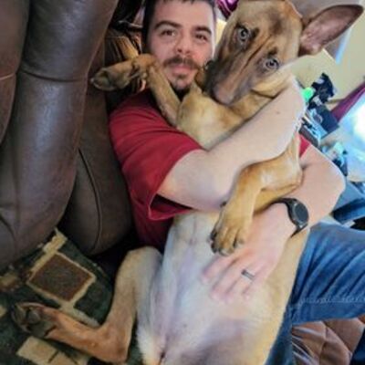 This is Moxie now at 61 pounds.