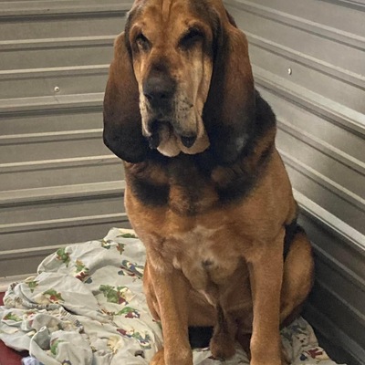 Bonded pair & ADOPTED