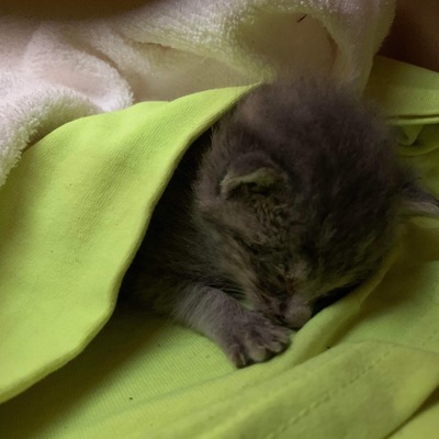 Bottle baby, special needs and ADOPTED