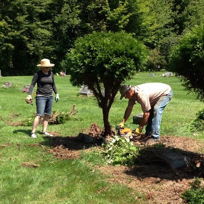 Trustee Work Day