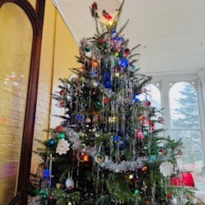 Tree in the Solarium Trees of Christmas 2024