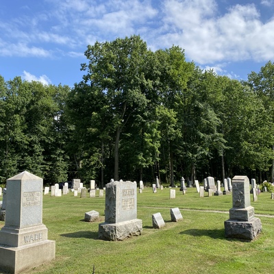 Well Maintained Lawn