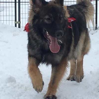 ADOPTED- completed rehabilitation