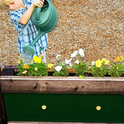Natural planters to be able to grow their own plants and learn about the life cycle of a plant. 