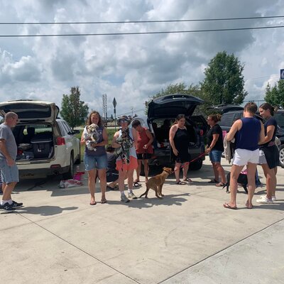 We worked with a rescue in Virginia that had 65 puppies.  We transported 8 to our fosters here.