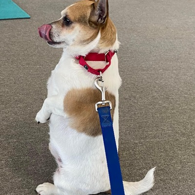 ADOPTED- major medical save