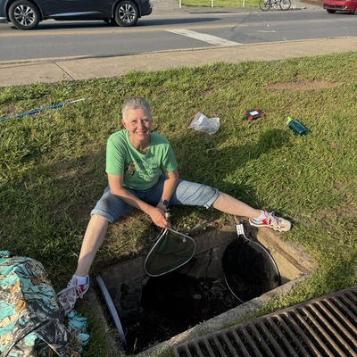 Ducklings in a drain rescue